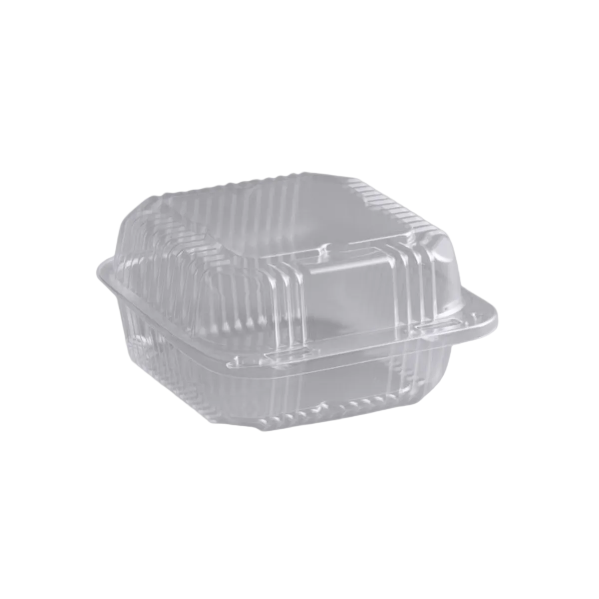 Clear Hinged Container