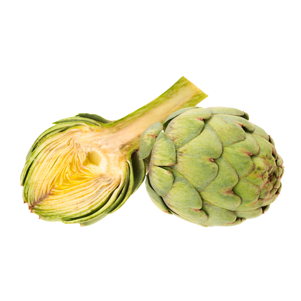 Artichoke (24pcs/case)