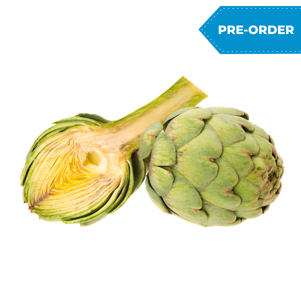 Artichoke (30pcs/case)