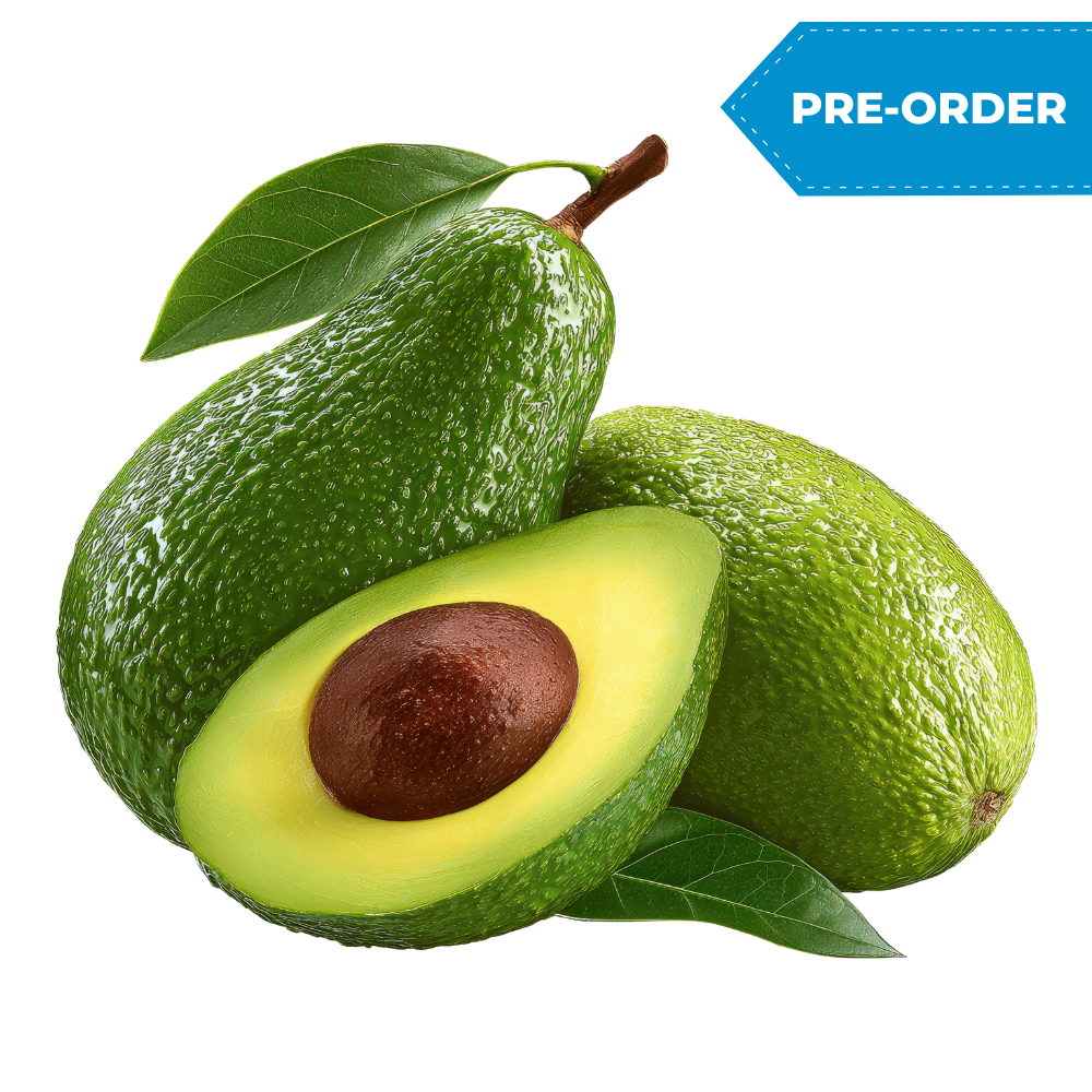Avocado (48pcs-70pcs/case)