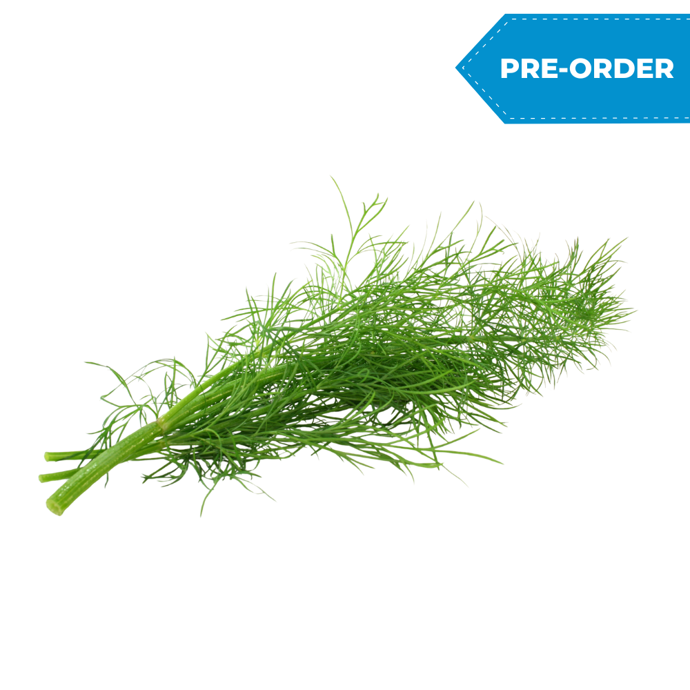 Baby Dill (1dz/case)