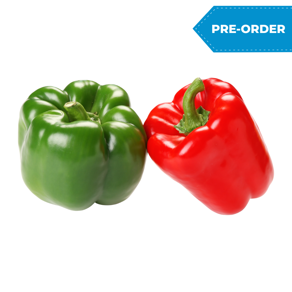 Bell Pepper (11lb/case)
