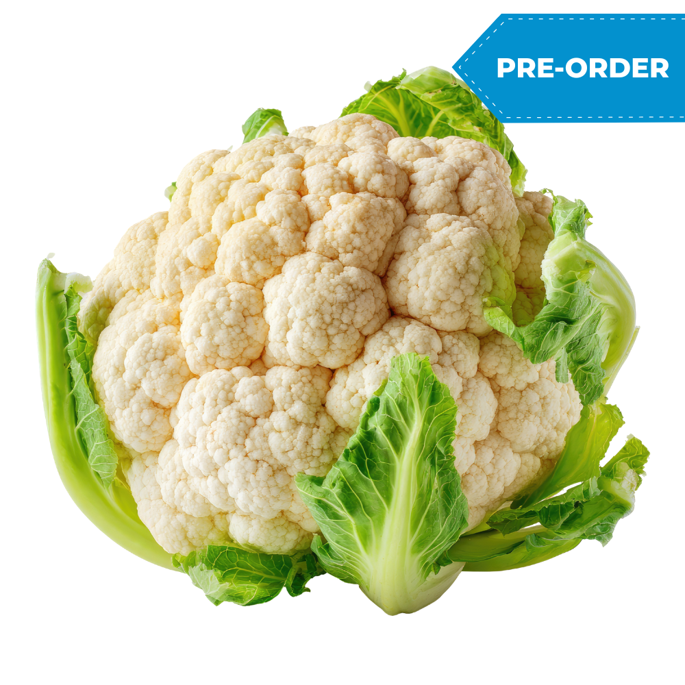 Cauliflower (12pcs/case)