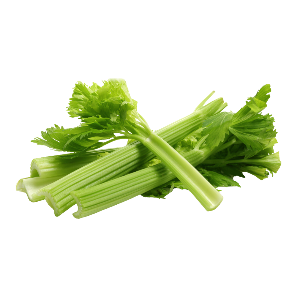 Celery (24pcs/case)
