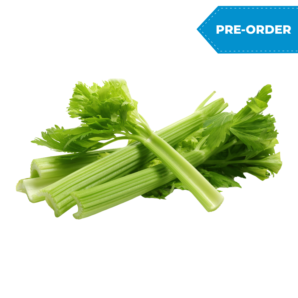Celery (24pcs/case)