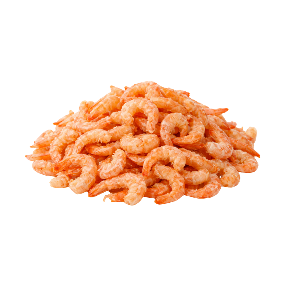 Dried Shrimp