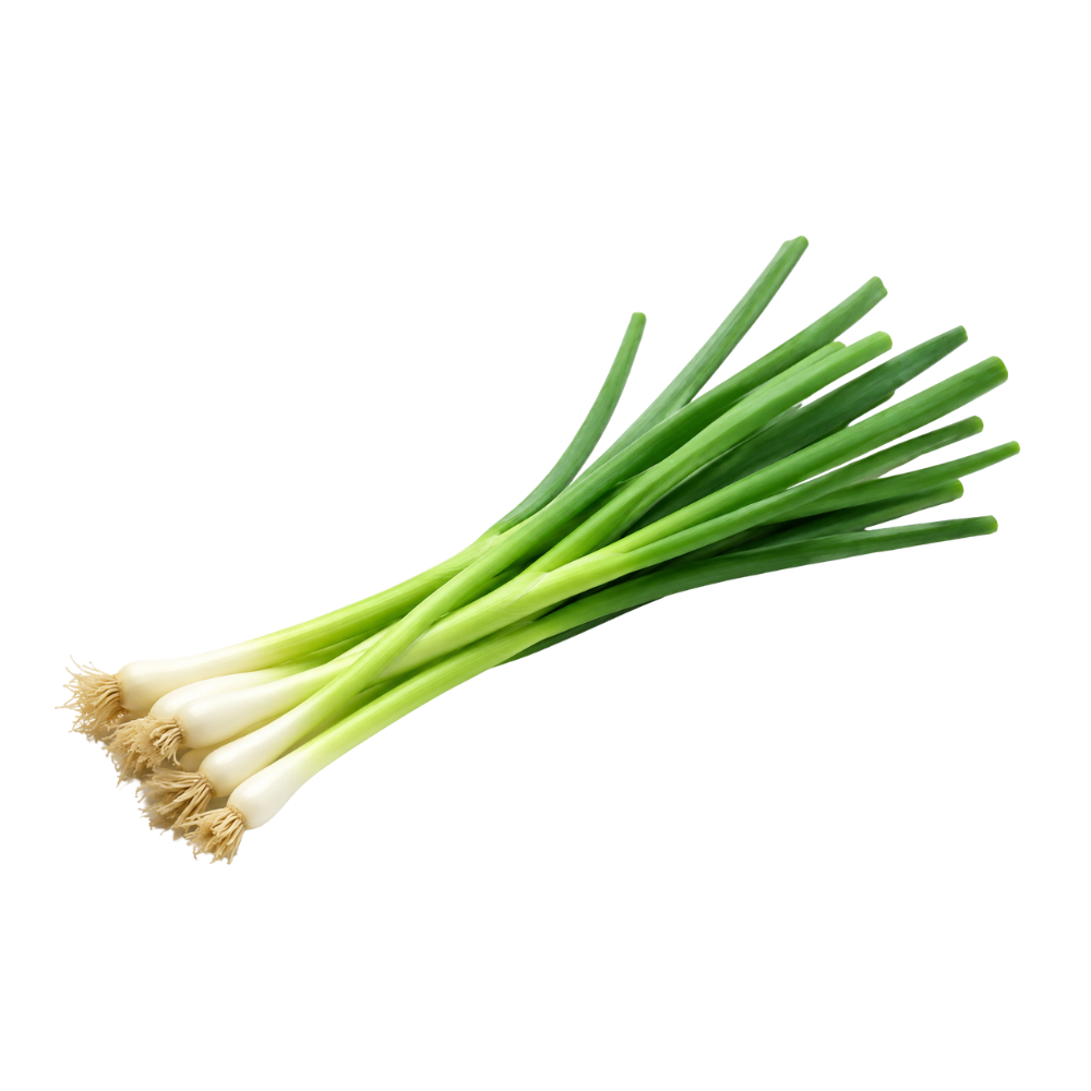 Green Onion (4 dozens/case)