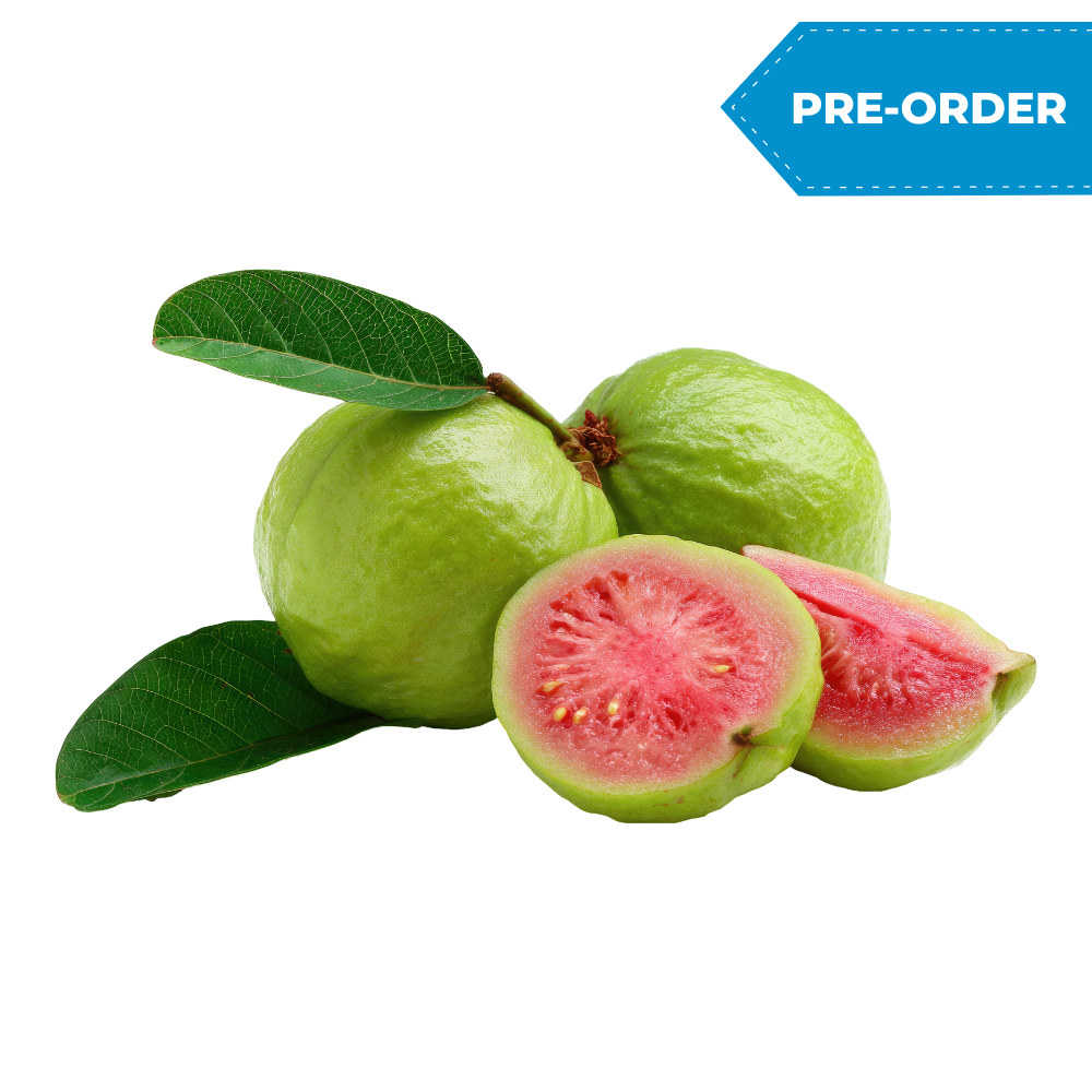 Guava (20lb/case)
