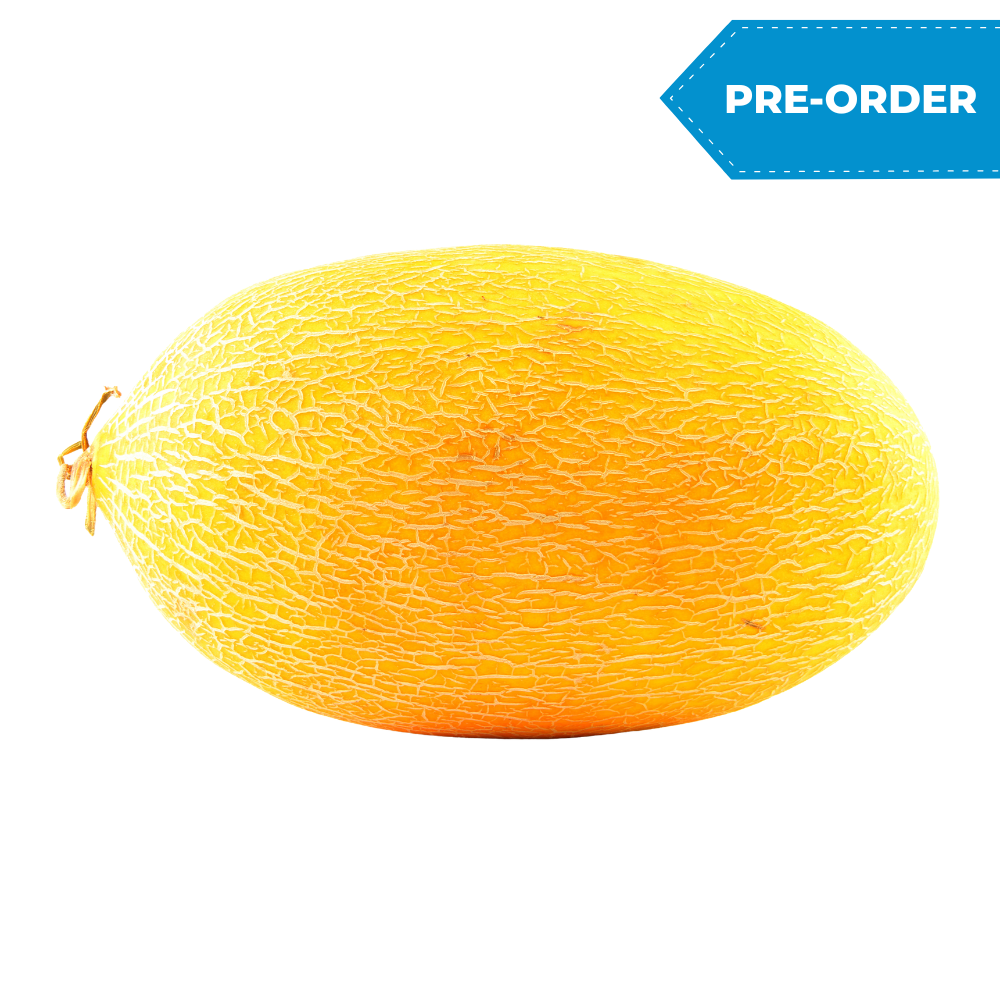 Hami Melon (6pcs/case)