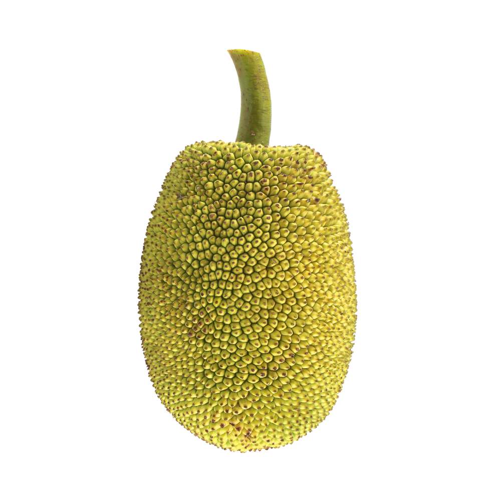 Jackfruit