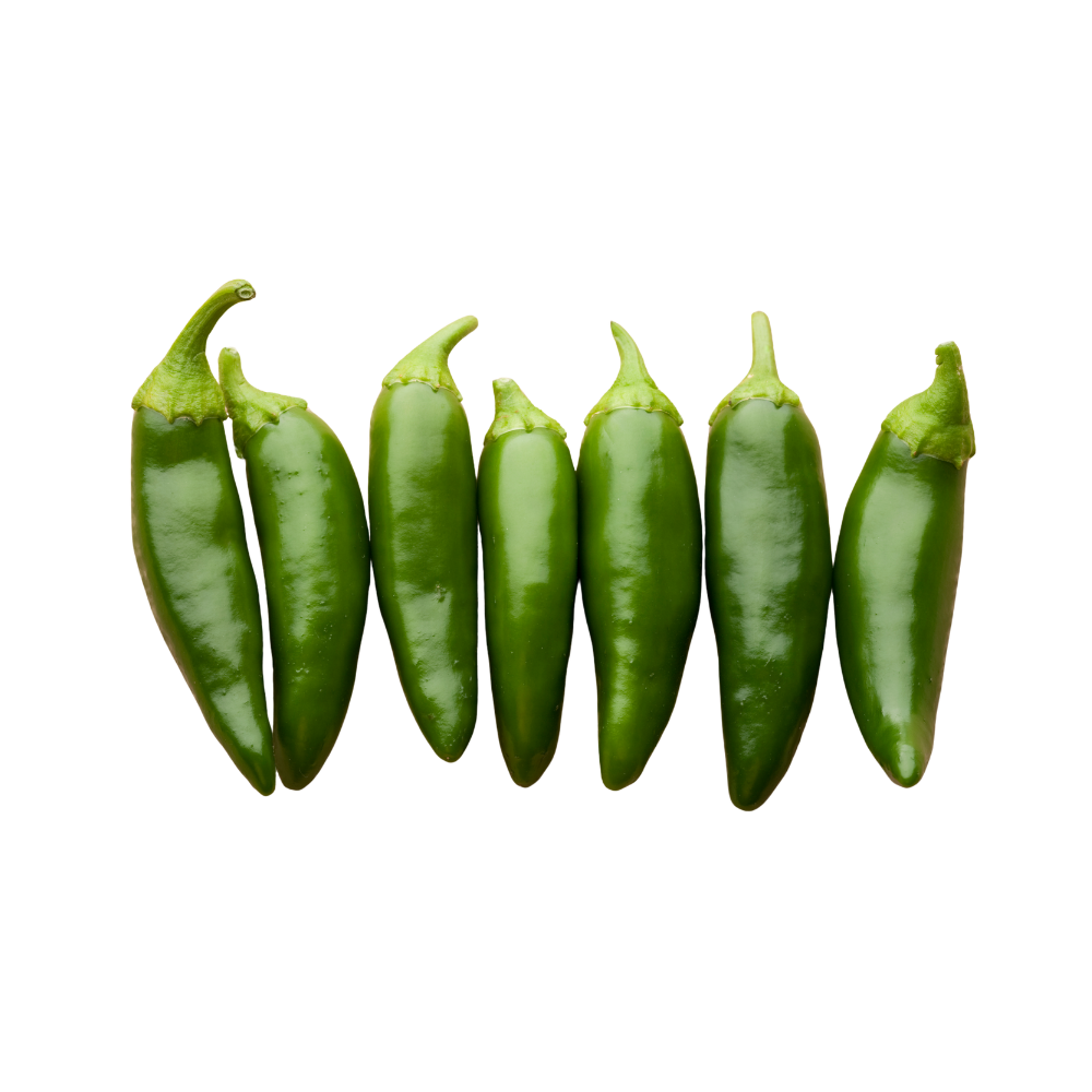Jalapeño Pepper (35pcs/case)