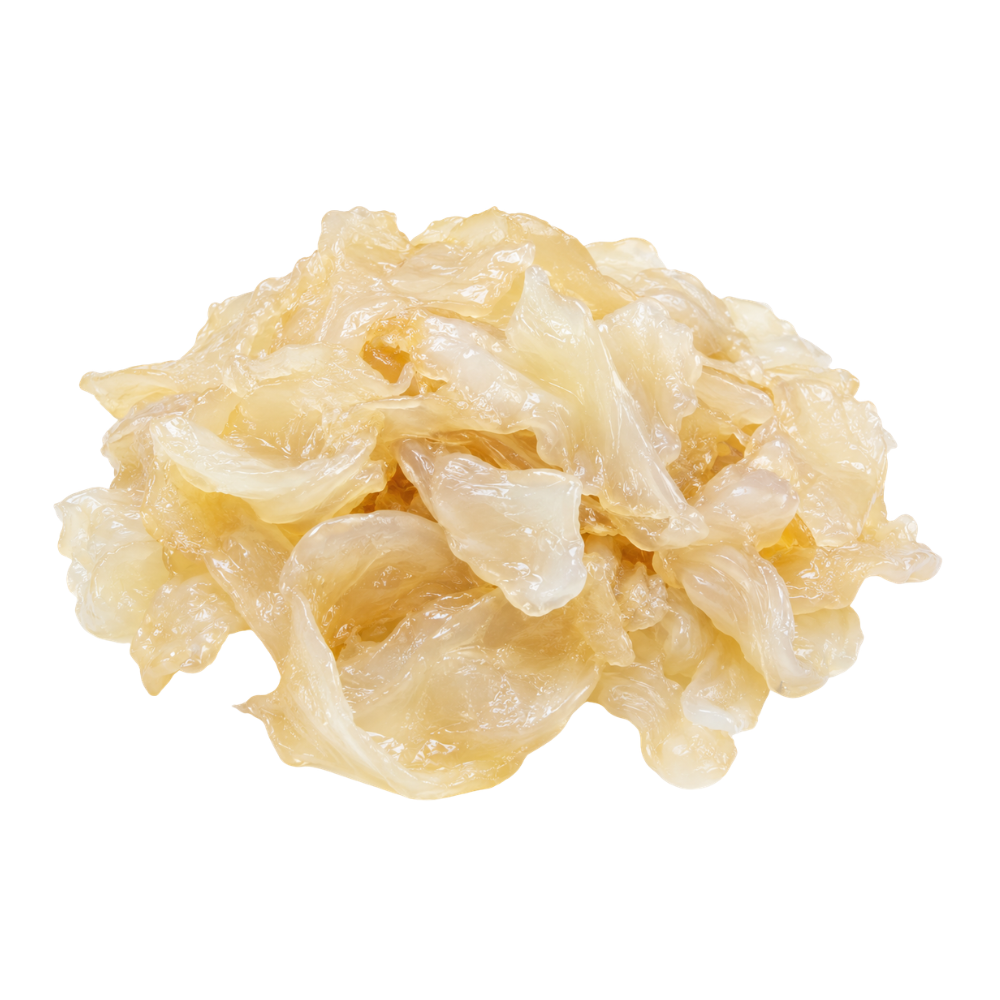Fresh Premium Jellyfish (55lb/case)