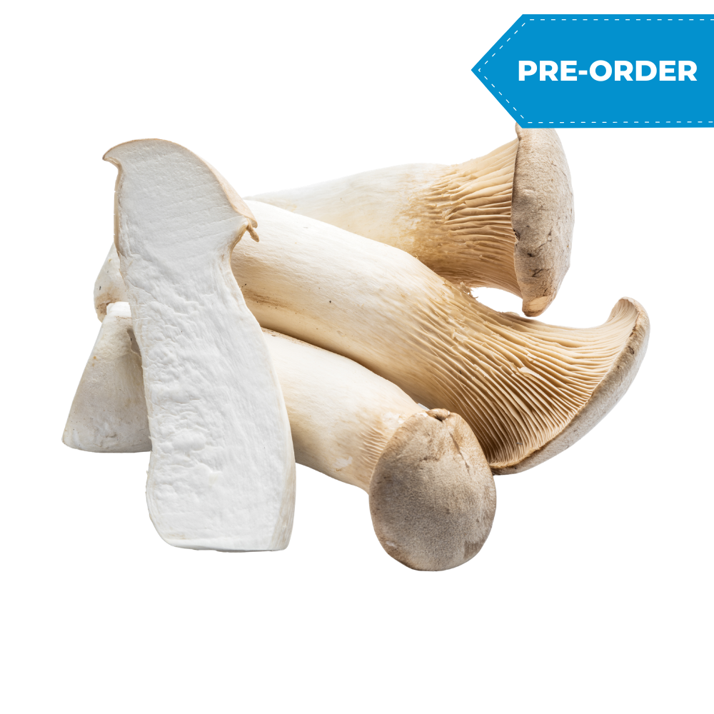 King Oyster Mushroom (24pack/case)