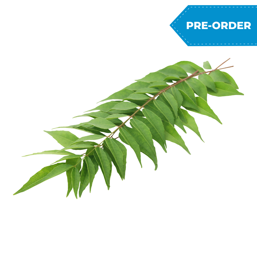 Leaf - Curry (1lb/case)