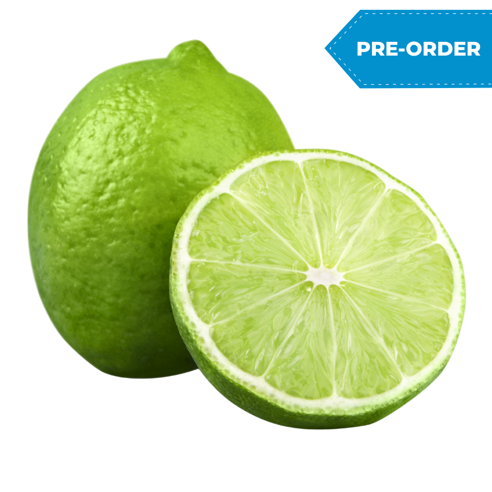 Lime (200pcs/case)