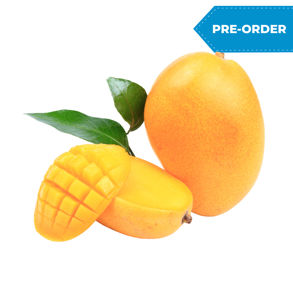 Mango Champ (12pcs-14pcs/case)