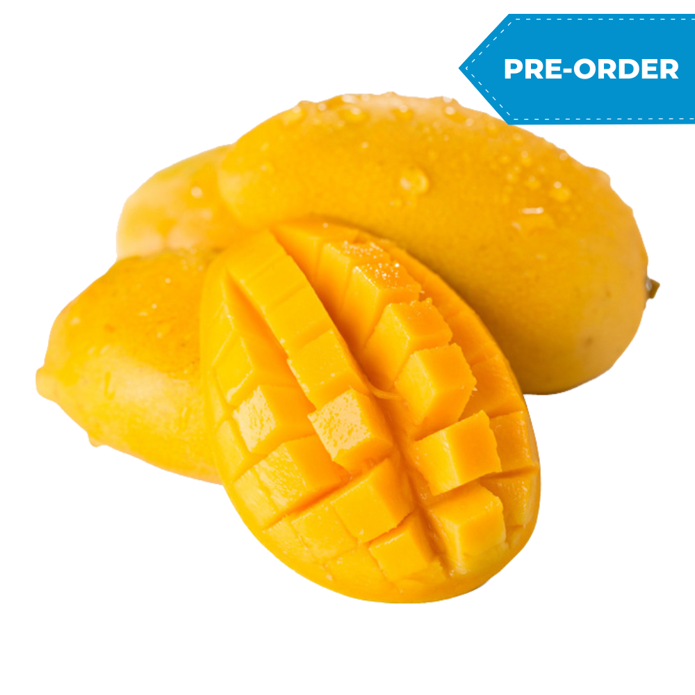 Manila Mango (14pcs/case)
