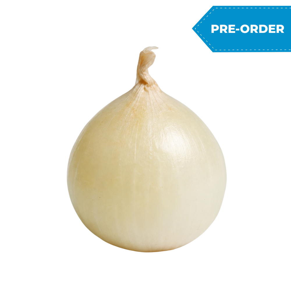 Onion Pearl (12x10oz)