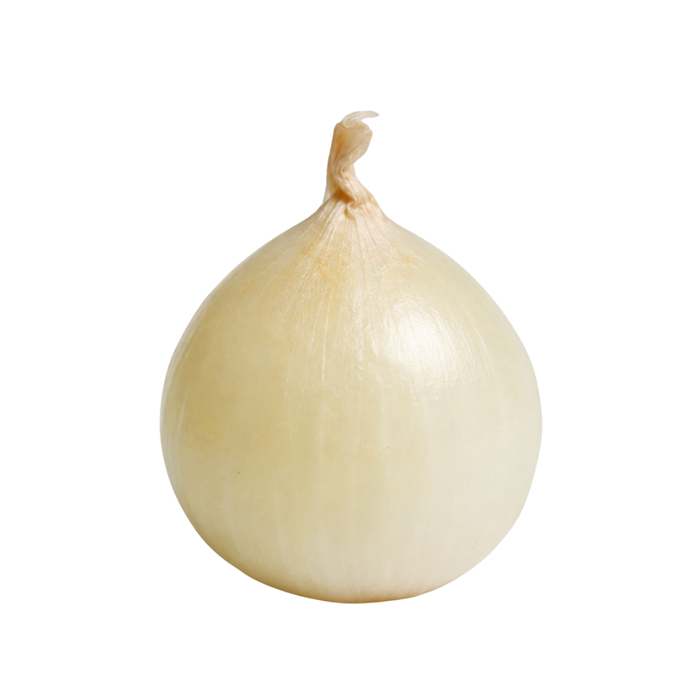 Onion Pearl (12x100z)