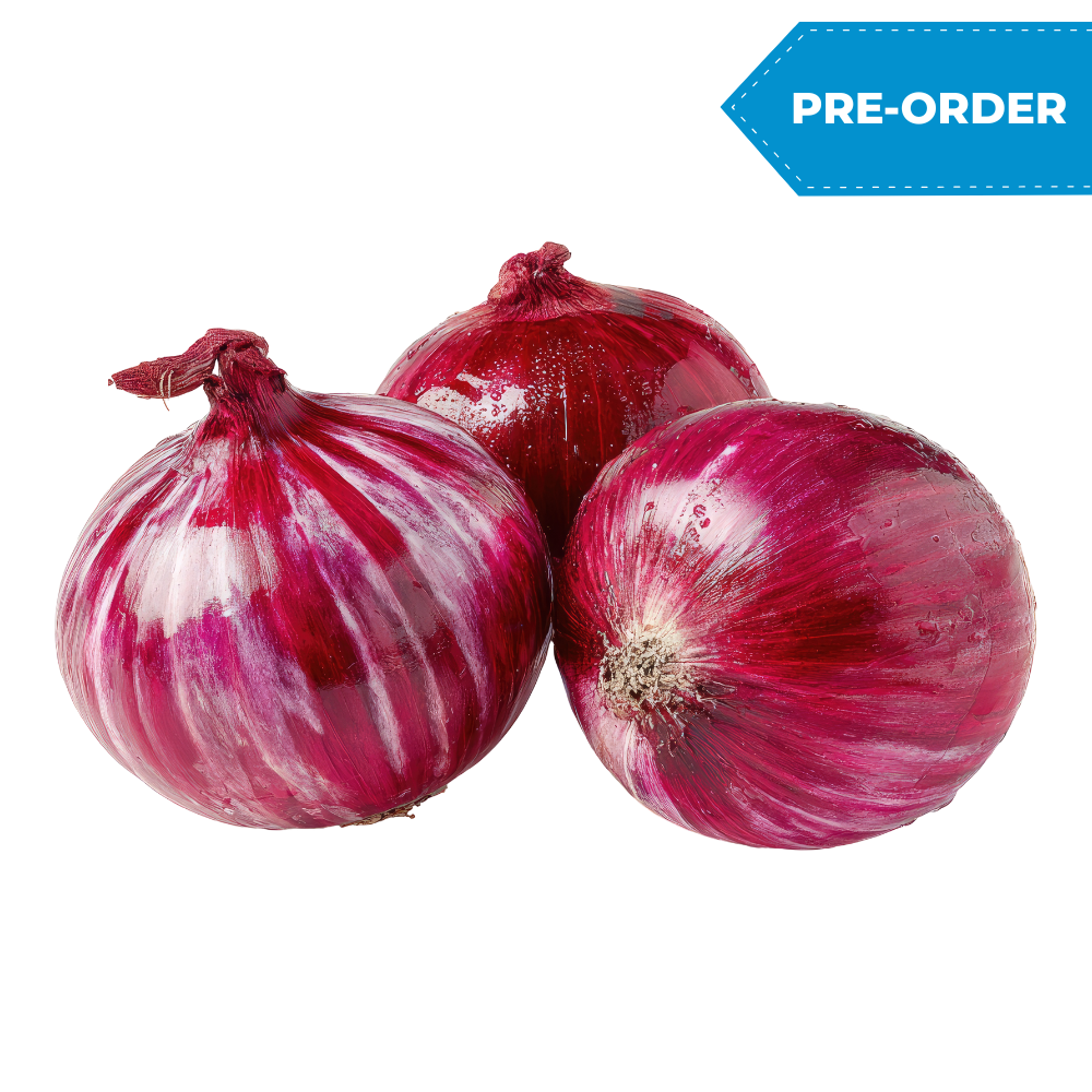 Medium Red Onion (25lb-50lb/case)