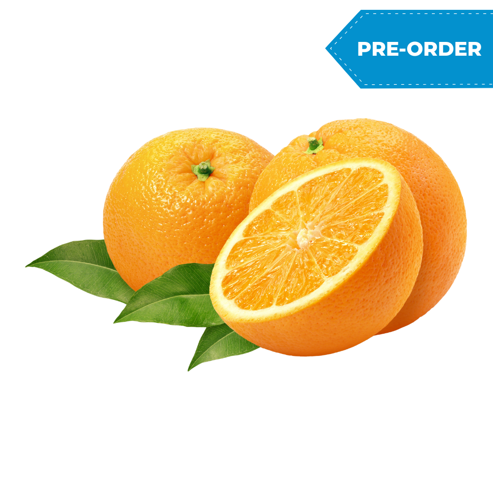 Orange (56pcs-72pcs/case)