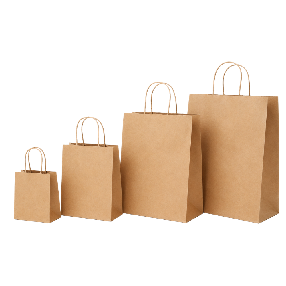 Paper Bag with Twisted Handles