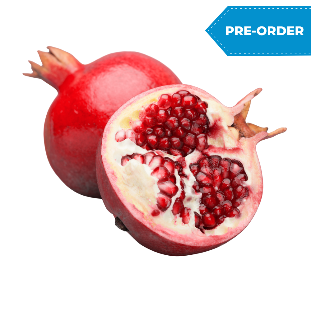 Pomegranate (5pcs/case)