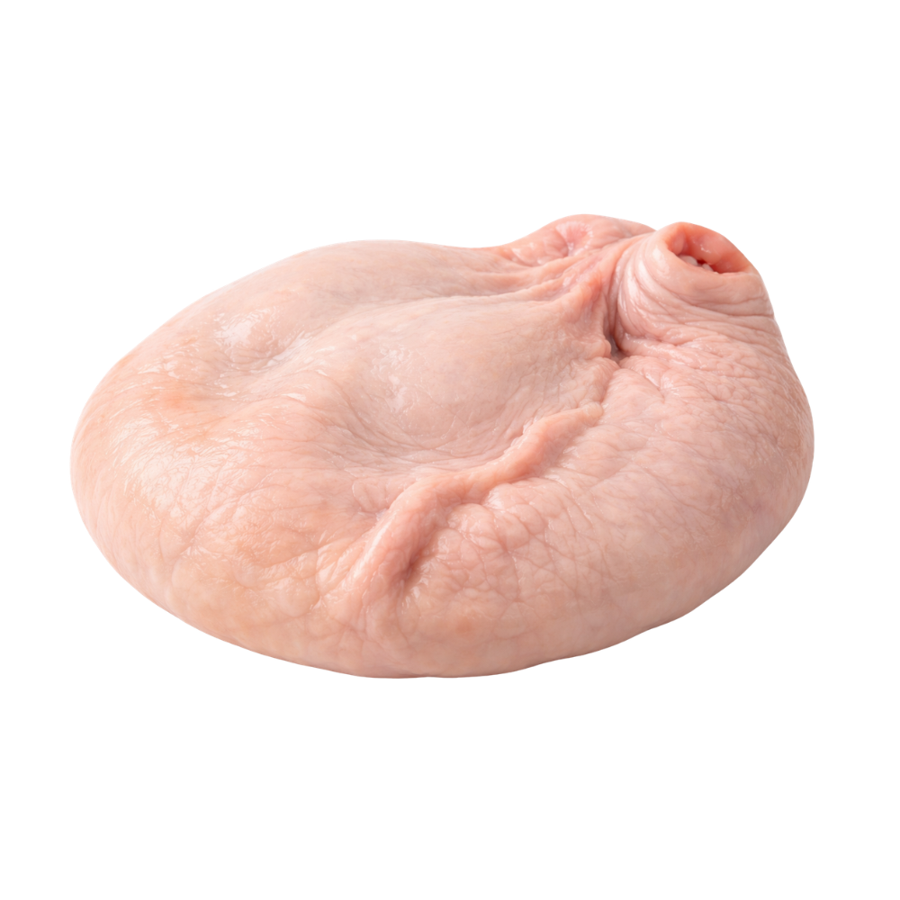 Pork Stomach - Frozen