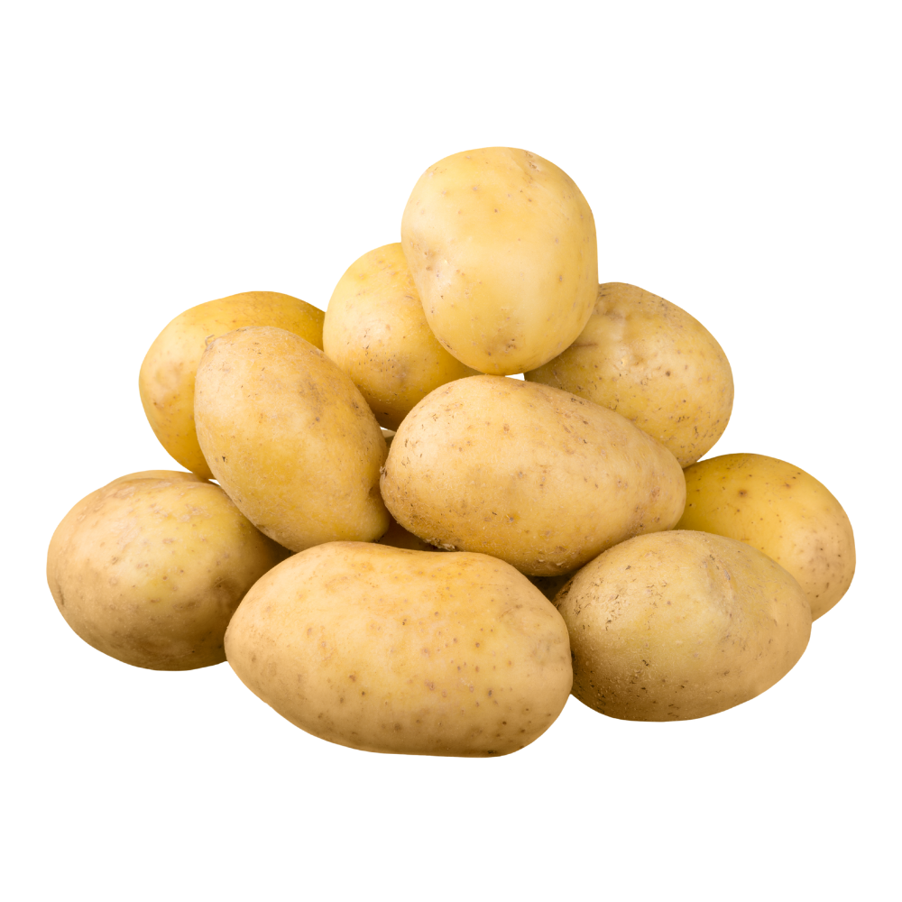 Potato