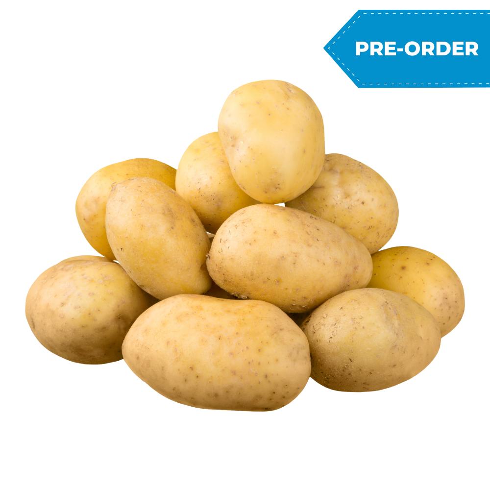 Potato (40pcs-90pcs/case)