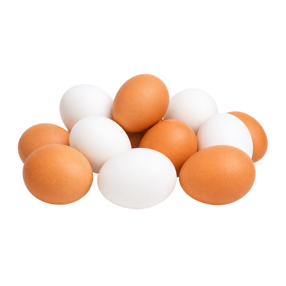 Eggs (15 dozens/case)
